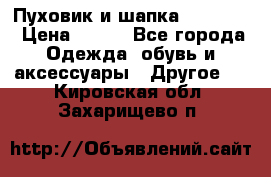 Пуховик и шапка  Adidas  › Цена ­ 100 - Все города Одежда, обувь и аксессуары » Другое   . Кировская обл.,Захарищево п.